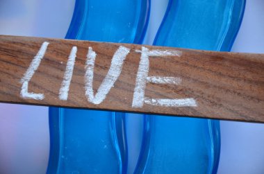 Sahilde ahşap bir levhada yaşıyor.