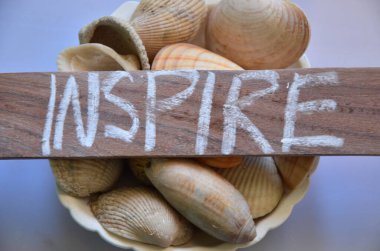 Deniz kabuklarının soyut bir arkaplanı üzerine ilham verici kelime.