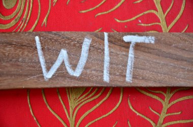 Sen işaret seviyorum