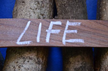 soyut bir arkaplanda yazılan sözcük yaşamı