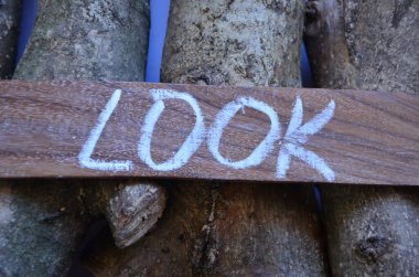 Ağaç gövdesi ve sözcüğü olan tahtanın üzerine 