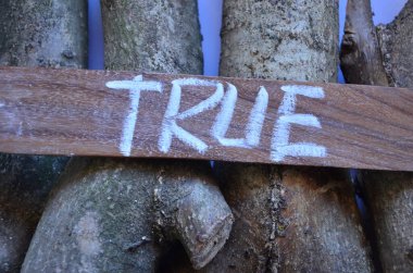 Soyut bir arkaplanda doğru sözcük