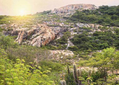 Jeolojik park manzaralı doğal kayalar