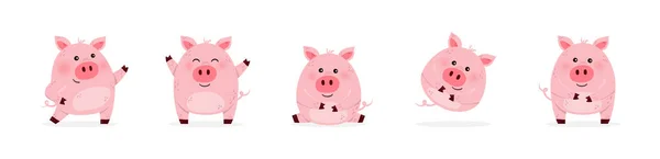 Cute Cartoon Pig Set Design Farm Animal Character Vector Illustration — Stock Vector