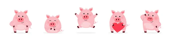Collection Cute Pig Characters Decoration Children Vector Illustration — Stockvektor