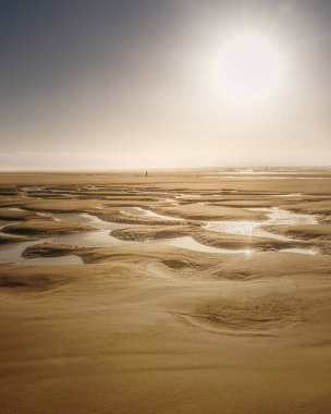 Kumlu sahil boyunca, sabah güneşinin altında gelgit havuzları olan bir köpek gezdirir.
