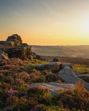 Tepe Bölgesi, İngiltere - 2023: Heather ve Gritstone Tepe Bölgesi 'ndeki Higger Tor' da altın akşam ışığında kayalar