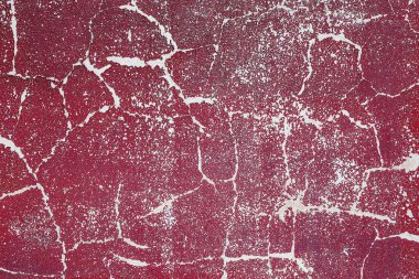 Eski alçı duvarların renkli desenli yüzeyi.