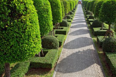 Güzel parkta taş geçit..