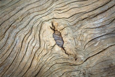 Renkli desenli ahşap doku arka planı için.