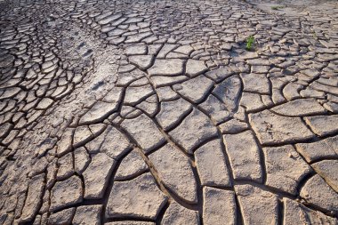 Çatlak toprağın desenleri ve dokuları.