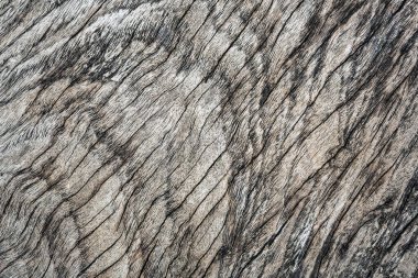 Arkaplan için ahşap yüzey düzeni.