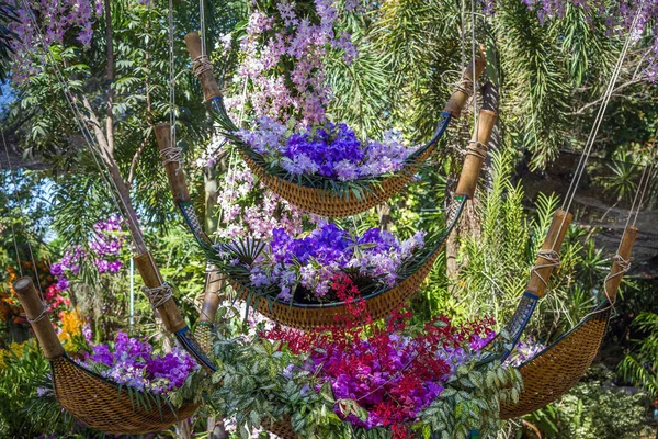 Hermosas Decoraciones Orquídeas Parque — Foto de Stock