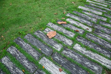 Park'ın bahçesinde yürüyüş.