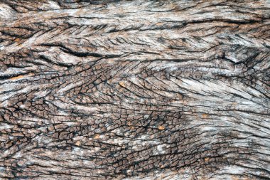 Arkaplan için eski ahşap döşeme.