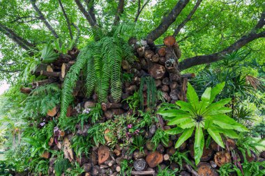 Parkta Bahçe dikey.