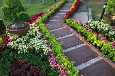 Parkta dikey bahçe dekorasyonu.