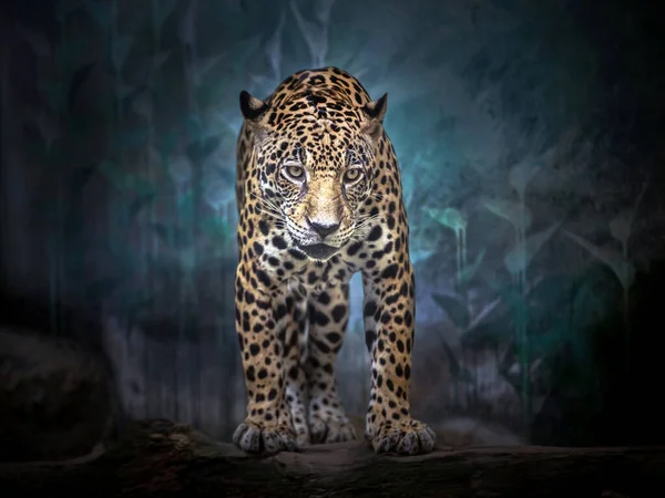 Jaguar Staat Midden Het Natuurlijke Bos — Stockfoto