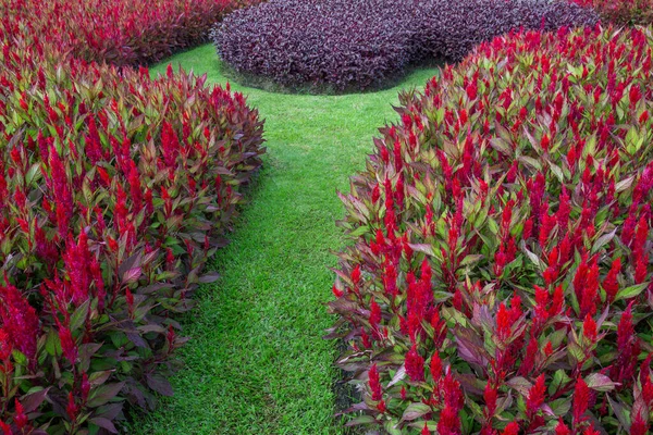 Coloridos Jardines Verticales Parque — Foto de Stock