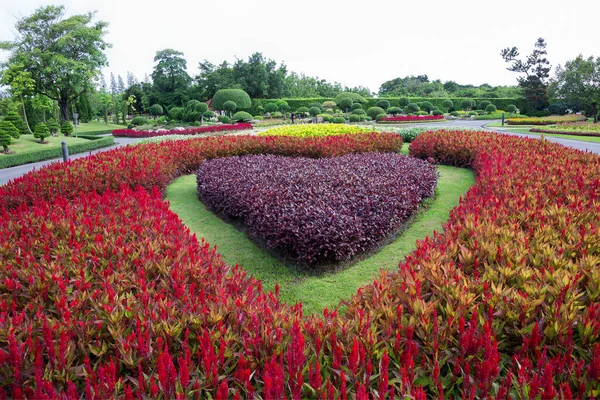 Красочные Вертикальные Сады Парке — стоковое фото