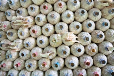 Tüketim için mantar yetiştirme evi