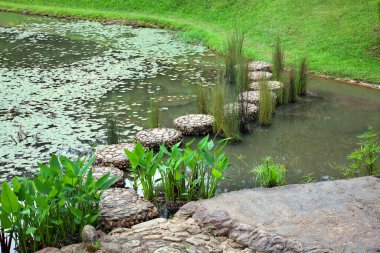 Taş geçit park nehri geçip.