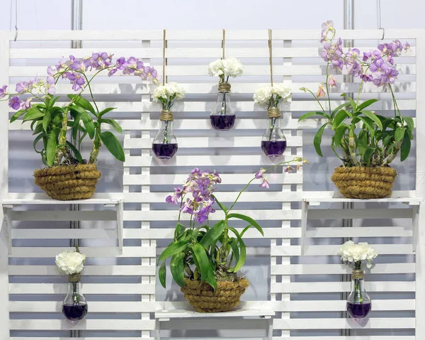 Vertical gardening with orchids.
