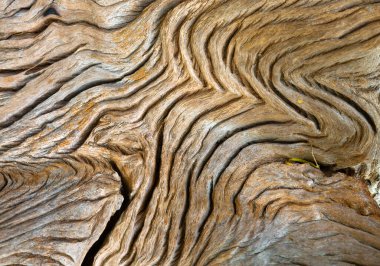 ahşap arka plan doku.