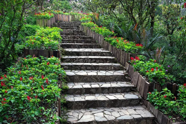 Stone Walkway Stairs Park — Stock Photo, Image