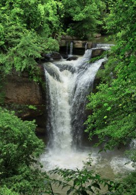 Haewsuwat Şelalesi Khao Yai Ulusal Parkı, Tayland.