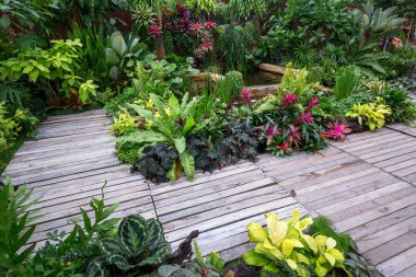 Dikey bahçe doğayı harmanlıyor...