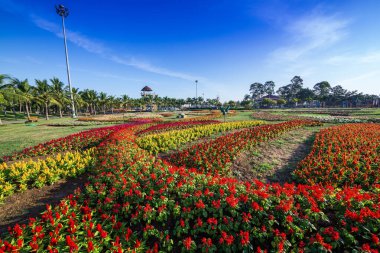 Parkta dikey peyzaj.