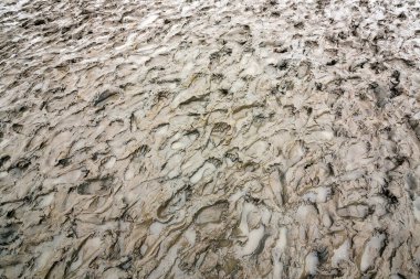 Çamurda desenli ayak izleri.