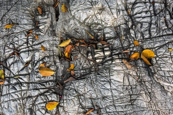 Πολύχρωμο Πέτρινο Σχέδιο Διακοσμημένο Ξηρά Φύλλα — Φωτογραφία Αρχείου