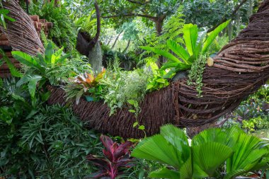 Doğal malzemelerle dikey bir bahçe süsleyin..