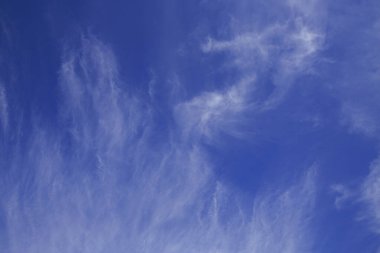 Arka planda bulutlu mavi gökyüzü.