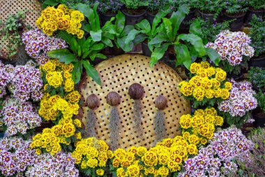 Dikey bahçıvanlık Doğa Parkı.