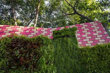 Parkta dikey bahçe düzenleme.