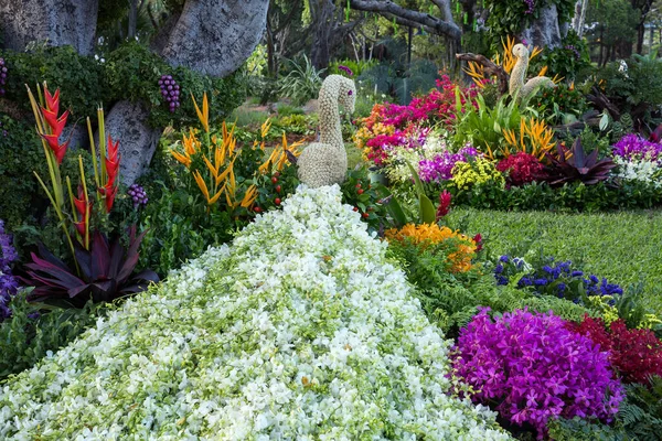 Vertical garden decorated with orchids.