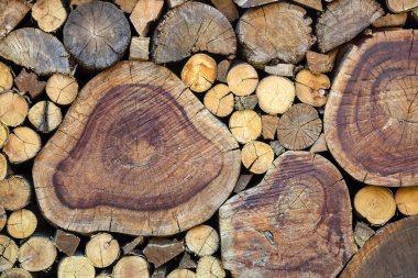 Arkaplan için ahşap duvar deseni.