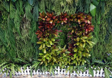 Duvarlar bitkilerle süslenmiş..                           