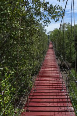 Asma köprü, mangrov ormanında doğa yolu..