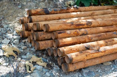 Kırsal bir ortamda Doğal elementlerle çevrelenmiş Paslı Metal Boruların Toplanmış Koleksiyonu