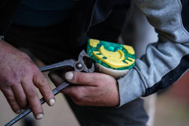 Erkek nalbant toynaklarına plastik at nalı yerleştiriyor. Hayvan ayağı ve metal maşa tutan ellere yakın plan..