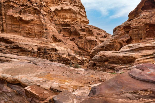 Typická Krajina Petra Jordánsko Skalnaté Stěny Kolem Málo Malých Zelených — Stock fotografie