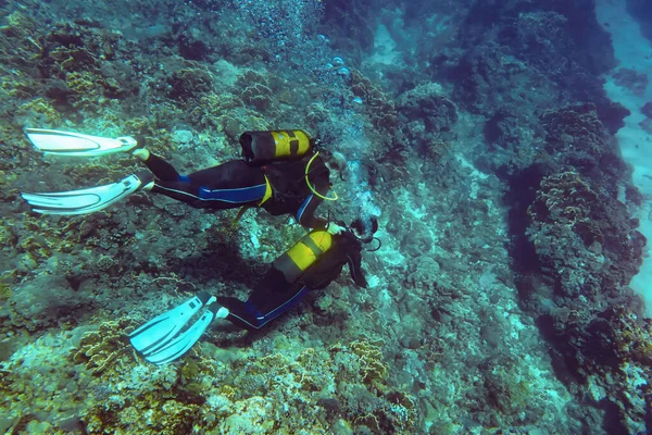 Underwater photo - unknown beginner diver swimming above ocean floor with corals, instructor near holding his oxygen tank, view from above.