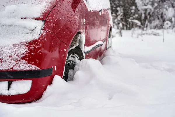 Red Car Parked Deep Layer Snow Heavy Snowstorm Detail Tire — Stock Photo, Image