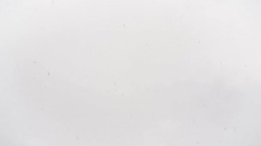 Bulutlu bir günde kar yağıyor, görünen kar taneleri uçuyor.