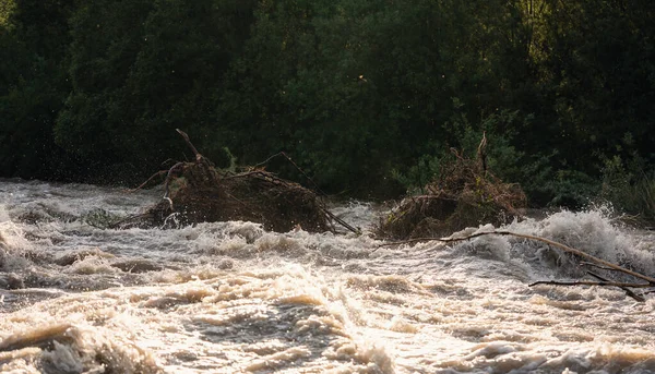 Zon Schijnt Vuil Overstromend Water Dat Snel Stroomt Rivier Neemt — Stockfoto