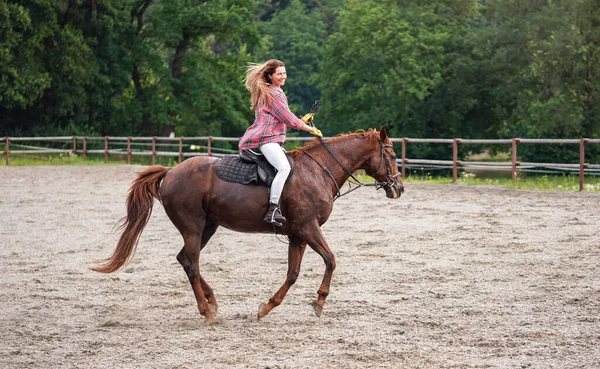 穿着衬衫的年轻女子骑着棕色的马 微笑着 因为速度的关系 头发在空中飘扬 树阴朦胧 — 图库照片